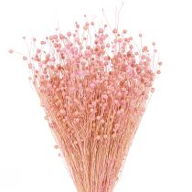 Product Dried Flax Grass Decoration Light Pink 50-55cm 80g Table Decoration