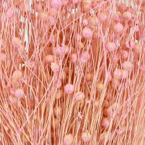 Product Dried Flax Grass Decoration Light Pink 50-55cm 80g Table Decoration