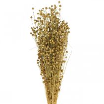 Product Dried flax grass, olive green, 50-55cm, 80g, decorative boho style