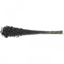 Product Dried Flax Decorative Grass, Black, 50-55cm, 80g