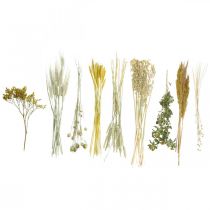 Product Dried Flower DIY Toolkit Yellow for Creative Bouquets and Decorative Wreaths 60cm – Natural Product