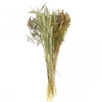 Product Dried Flower DIY Set Natural Decoration for Dried Bouquets and Wreaths 60cm – Long-lasting Country House Decoration