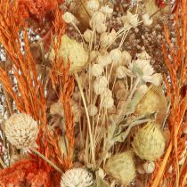 Product Decorative dried bouquet &quot;Thistle &amp; Yarrow&quot; Orange-Natural in Bleached, 55cm, 150g - Country House Style