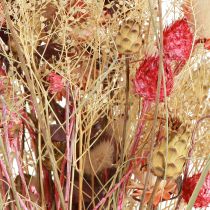 Product Dried flower bouquet Boho style Strawberry thistle &amp; Cornflower in bleached red, lifelike 150g