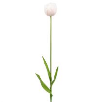 Tulip white-pink 86cm 3pcs