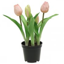 Tulip pink, green in a pot Artificial potted plant decorative tulip H23cm