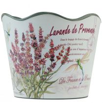 Product Planter plastic lavender flower pot Ø13.5cm H12cm