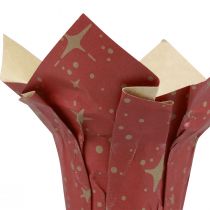 Product Planter paper stars red/anthracite/natural Ø12cm H12cm 9 pieces