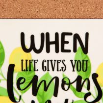 Product Coasters Lemons Cork Ceramic Summer Assorted 19.5cm 6pcs