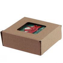 Product Coasters for glasses ceramic fruit vegetables 10×10cm 4pcs