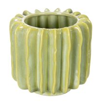 Product Cactus flower pot, ideal bowl for exotic home accents, 16cm