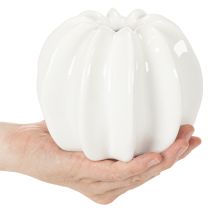 Product Pumpkin ceramic vase, white, home decoration, 15cm