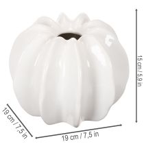 Product Pumpkin decorative vase, glossy, autumn decoration for living room, 19cm