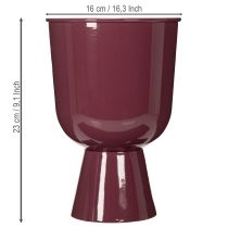 Product Flower pot, cup-shaped, modern style, decorative for any home and office, 23cm