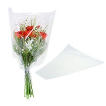 Product Packaging funnel B 50pcs.