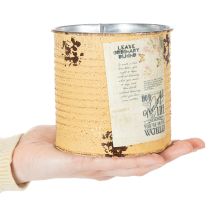 Product Vintage-look flower pot/tin with lettering for indoor decoration, 11cm, 3 pieces