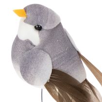 Product Decorative birds, artificial home decor, spring occasion, with colorful plumage made of real feathers, 5cm, 18 pieces