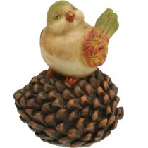 Autumn decoration table, bird decoration, deco cones, bird figure H19cm