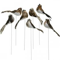 Product Spring, bird on wire, flower decoration white, natural colors H4.5cm 12pcs