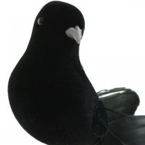 Product Pigeons on a wire, wedding decoration, pigeons black H7cm 4pcs