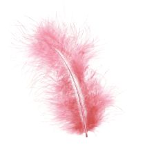 Product Bird Feathers Craft Feathers in Pink Spring Easter 20g