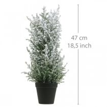 Product Artificial juniper in a pot snowed artificial plant H47cm