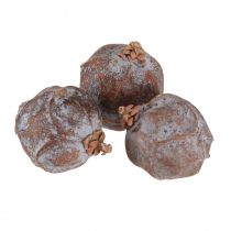 Product Juniper cones Syrian juniper natural Ø1.5–2.5 cm 1 kg