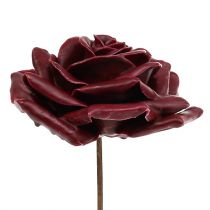 Wax rose dark red Ø10cm 6pcs