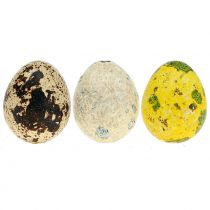 Quail eggs assortment yellow, natural 3cm 62pcs
