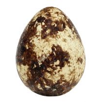 Product Quail eggs as decoration, empty, natural, 50 pieces