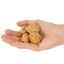 Product Walnuts, a natural product for table decoration and DIY projects. Natural walnuts, 4-5cm, 300g.