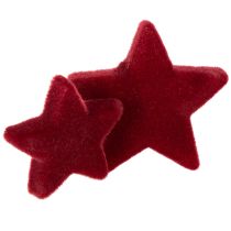 Product Christmas decorations, stars, Bordeaux flocked, table decoration, 4-5cm, 40 pieces