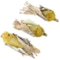 Product Christmas decoration bird on clip green, glitter 12cm 6pcs assorted