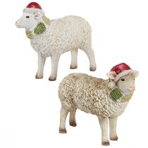 Product Christmas figures sheep with hat and scarf L16cm 2 pcs