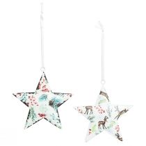 Product Christmas ornaments: star, deer, pine branches, berries, Ø8cm, set of 6 decorative hangers, Christmas tree ornaments