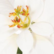 Product Artificial poinsettia, white, large bloom, decorative plant, 40cm