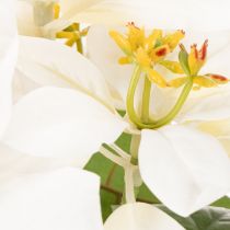Product Artificial poinsettia, white, large bloom, decorative plant, 40cm