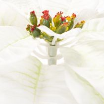 Product Artificial white poinsettia, large flowering branch decoration, 65cm, 2 pieces
