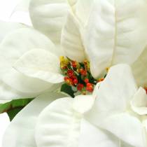 Poinsettia bouquet white 52cm