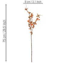 Product Artificial hawthorn branch, autumn decoration, 75cm