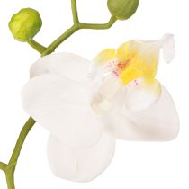 Product White orchid artificial flowers in pot Phalaenopsis H33cm
