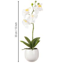 Product White orchid artificial flowers in pot Phalaenopsis H33cm