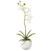 Product White orchid artificial flowers in pot Phalaenopsis H33cm