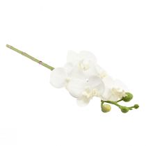 Product White Artificial Orchid Phalaenopsis Real Touch 32cm