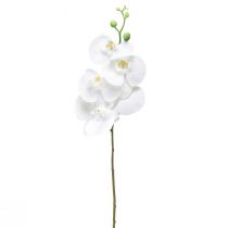 Product White Artificial Orchid Phalaenopsis Real Touch 85cm