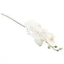 Product White Artificial Orchid Phalaenopsis Real Touch 85cm