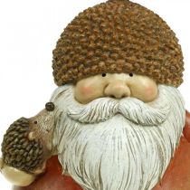 Imp figure with acorn and hedgehog decorative figure autumn brown H19cm