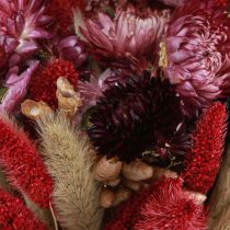 Product Wildflower bouquet Dried flower bouquet Natural Pink Red 30cm