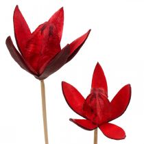 Product Wild lily on a stem red Ø6.5cm 35cm 45pcs