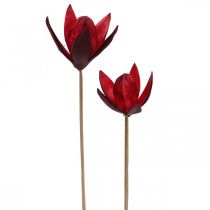 Product Wild lily on a stem red Ø6.5cm 35cm 45pcs